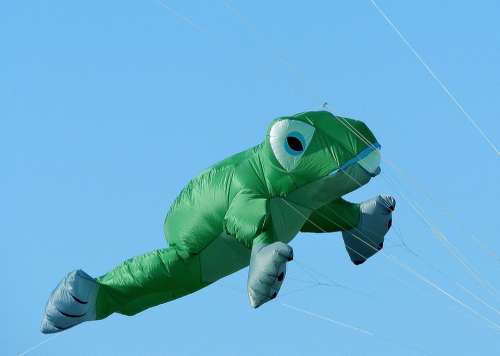 Balloon Dragons Frog Flying Sky Green Blue