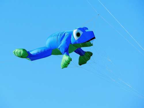 Balloon Dragons Frog Blue Flying Sky
