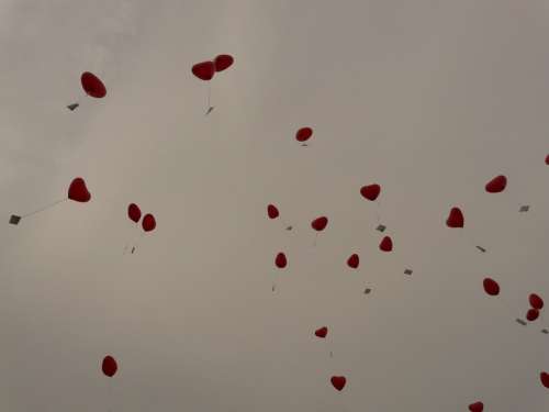Balloons Heart Love Cards Flying Romance