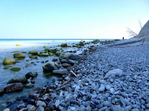 Baltic Sea Beach Stones Coast Denmark Møns Klint