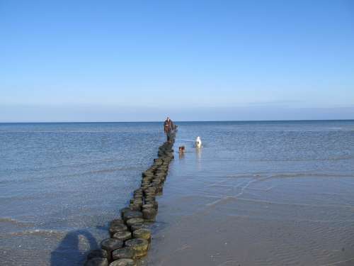Baltic Sea Sea Wide Happy Swim Dogs Groynes