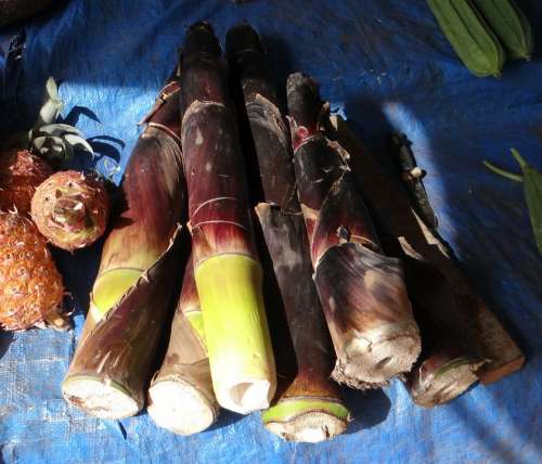 Bamboo Shoots Bamboo Vegetable Food Stall Goa