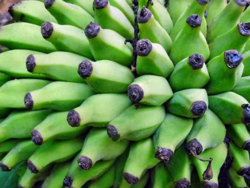 Banana Fruit Food Fresh Healthy Diet Sweet
