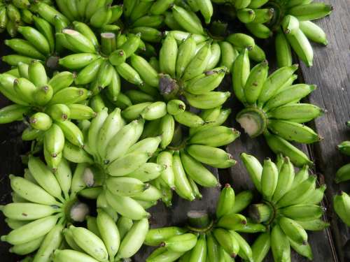 Bananas Fruits Green Unripe Bunch