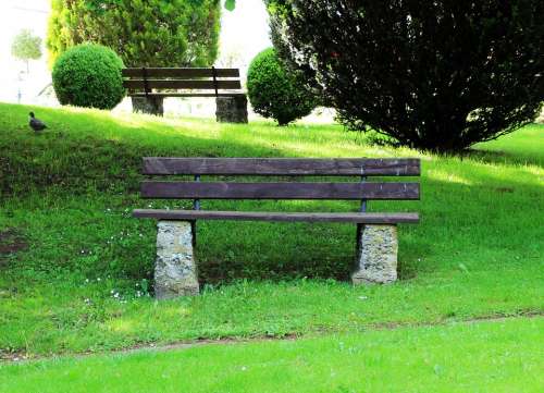 Bank Bench Nature Seat Recovery Click