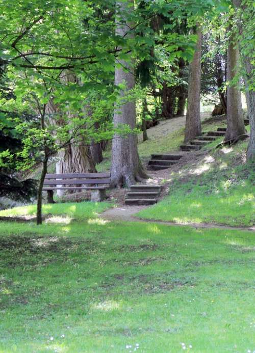 Bank Bench Stairs Gradually Forest Nature