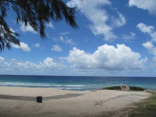 Barbados Sea Island Tropical Ocean Beach Nature