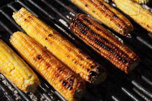 Barbecue Corn Fresh Grill Grilled Healthy Sweet