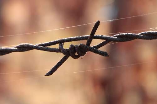 Barbed Close-Up Iron Old Rusty Wire Industries