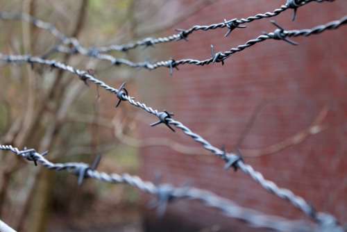 Barbed Wire Security Wire Close Up Tiefenschärfe
