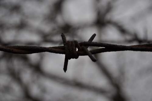 Barbed Wire Metal Rods