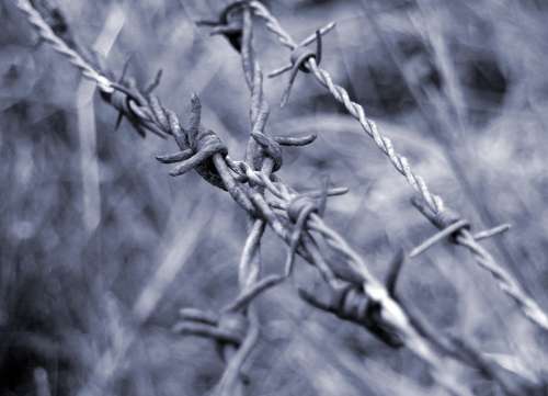 Barbed Wire Close Up Wiring Limit Demarcation