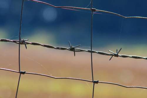 Barbed Wire Wiring Security Thorn Fence