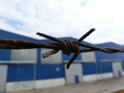 Barbed Wire Wire Demarcation Rust