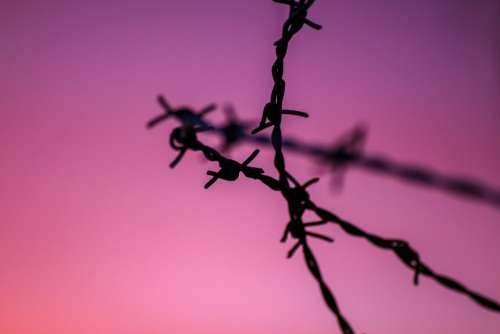 Barbed Wire Backlighting Mood Nature Emotions