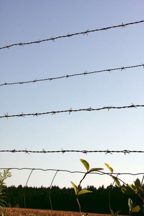 Barbed Wire Fence Barbed Wire Metal Fence Iron