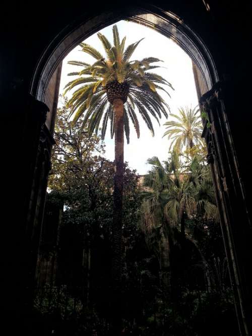 Barcelona Cathedral Church Spain Vacations Palm
