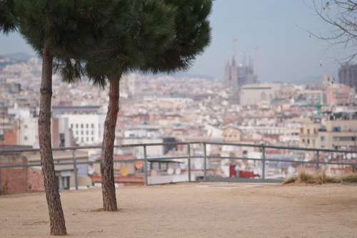 Barcelona Sagrada Familia Spain Catalonia Cathedral