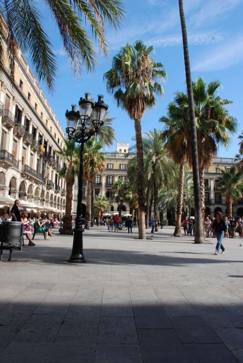 Barcelona Place View Palm Tree Spain Architecture