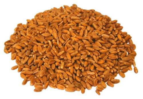 Barley Grain Cereals Whole Wheat Ingredient Wheat