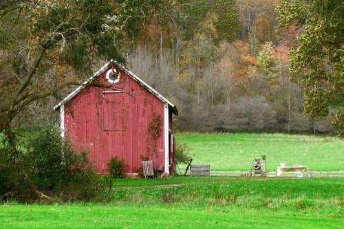 Barn Red Red Paint Amish Countryside Green Grass
