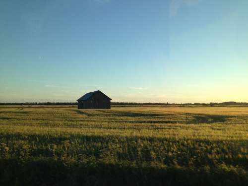 Barn Landscape Field