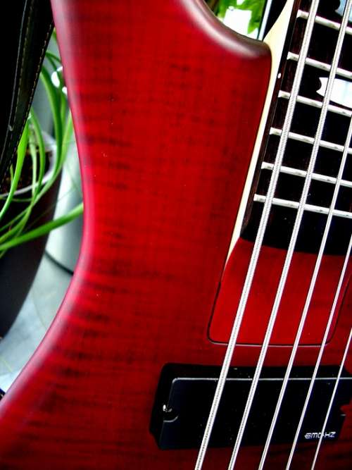 Bass E Bass 5 String Strings Music Instrument Red