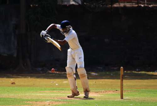 Batsman Cricket Defense Ball Game India