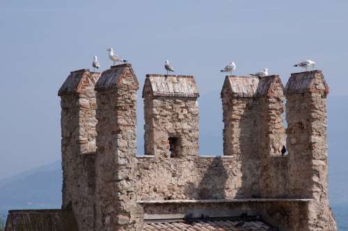Battlements Gulls Castle Fortress