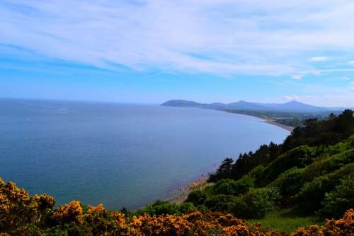 Bay Water View Gorse Sky Sea Ireland Killiney