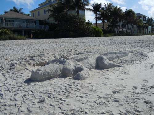 Beach Sand Alligator Animals Sandsculpting
