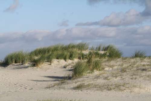 Beach Dunes North Sea