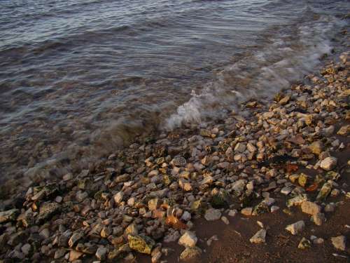 Beach River Stones Wave Leaves Water Sand