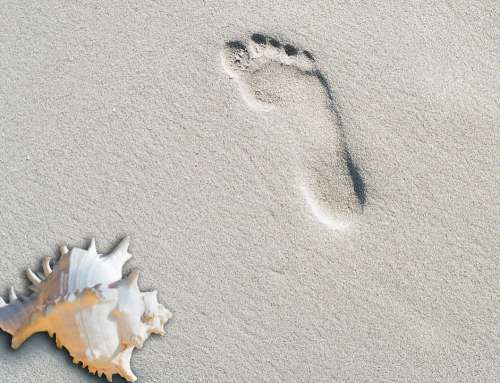 Beach Sand Summer Footprint Shell