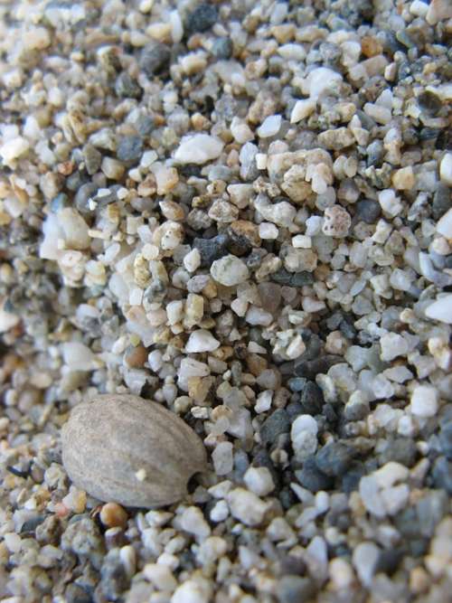 Beach Sand Stones Summer