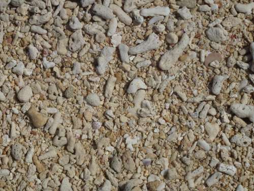 Beach Sea Stones