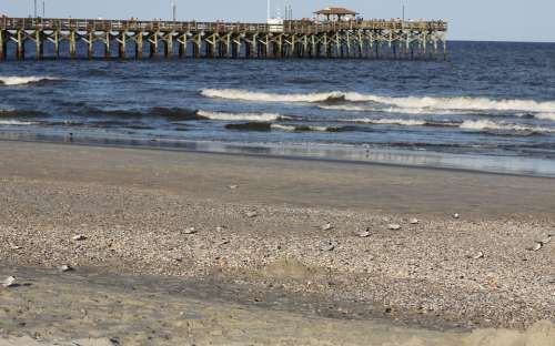 Beach Seashore Pier Sea Birds Sand Waves