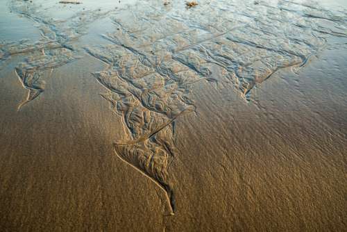 Beach Long Reef Sydney Australia Sand Pattern