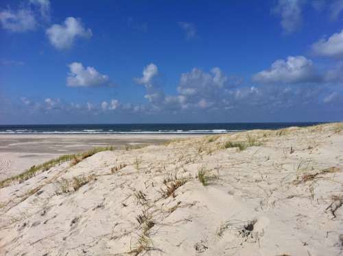 Beach Sea Water Vlieland