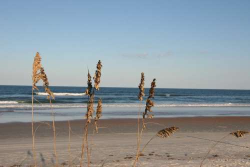 Beach Sand Waves Ocean Grass Vacation Florida