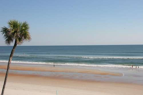 Beach Ocean Palm Tree Waves Gulf Shores Coast