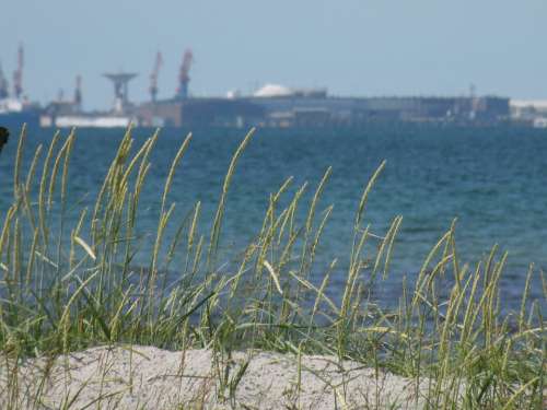 Beach Sea Water Landskrona