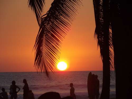 Beach Sunset Palm Tree Ocean Vacation Dusk