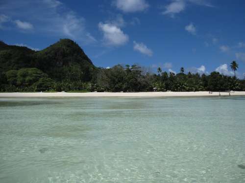 Beach Costa Seychelles Palms Paradise Sea Blue