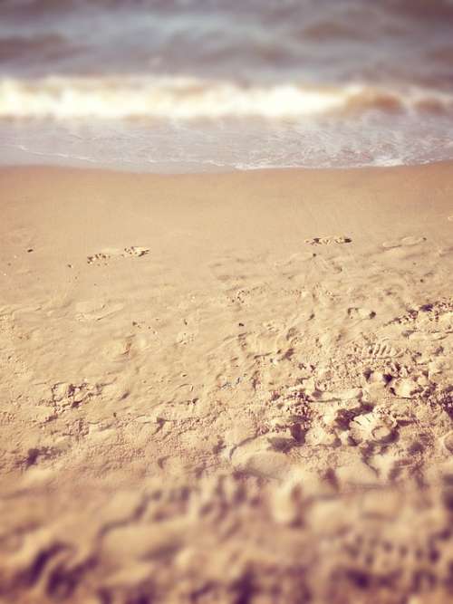 Beach The Sea Footprints