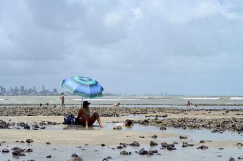 Beach Bather Tourists Holidays Ride Brazil