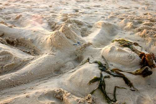 Beach Sand Sand Sculpture Sculpture Sand Beach