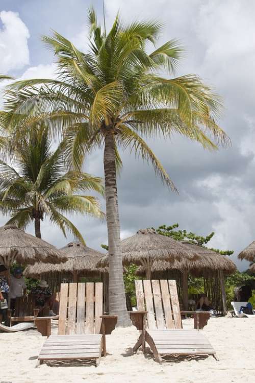 Beach Chairs Palm Tropical Ocean Sand Tourism