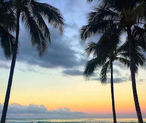 Beach Palm Sunrise Water Tropical Paradise Clouds