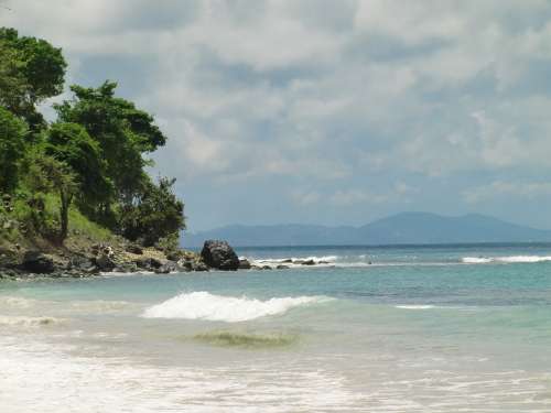 Beach Palm Trees Vacations Tropical Summer Sea